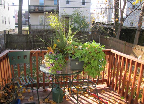 58 Johnston Road Boston, MA 02124 - Photo 9 of 18 Gallery Image 9