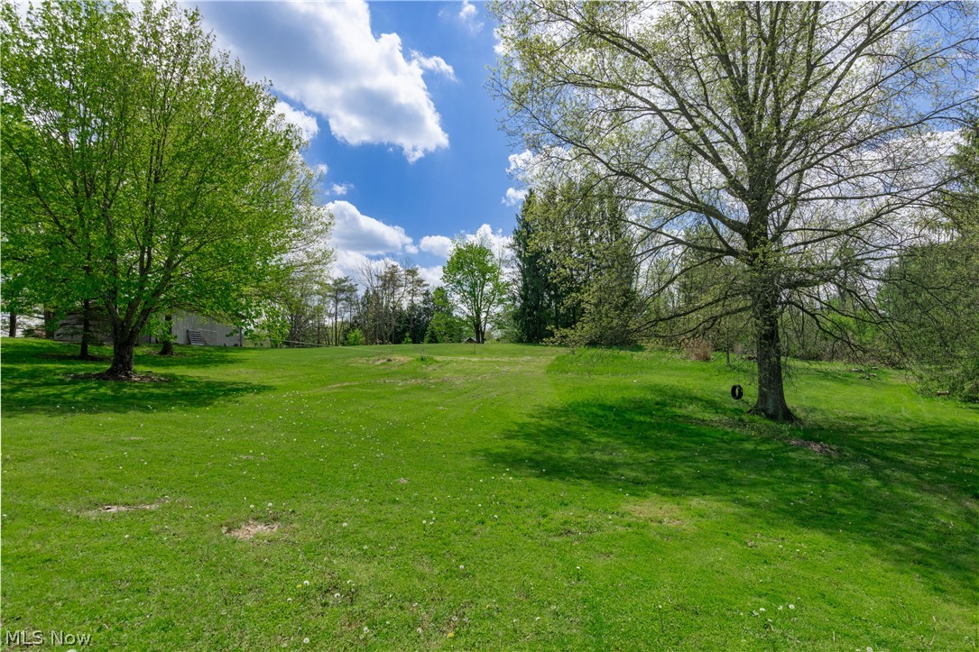 7969 Dines Road Novelty, OH 44072 - Photo 47 of 48 Beautiful backyard with green lawn with mature trees and varied topography