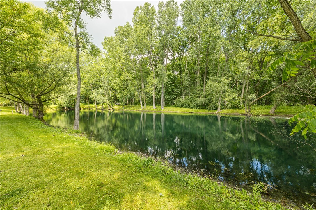 6869 Cadyville Road Livonia, NY 14487 - Photo 46 of 50