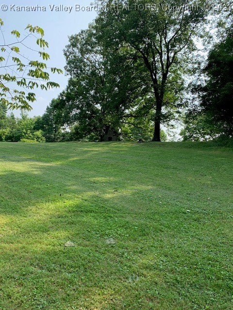 Tbd Windy Run Road Sutton, WV 26601 - Photo 15 of 33 Gallery Image 15