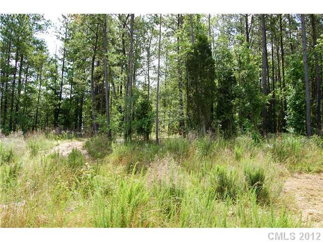 Lot 21 Lometa Road, Unit 21 York, SC 29745 - Photo 1 of 3 Gallery Image 1