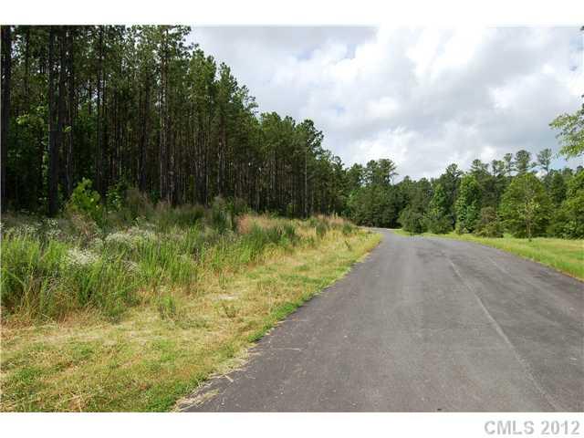 Lot 21 Lometa Road, Unit 21 York, SC 29745 - Photo 2 of 3 Gallery Image 2