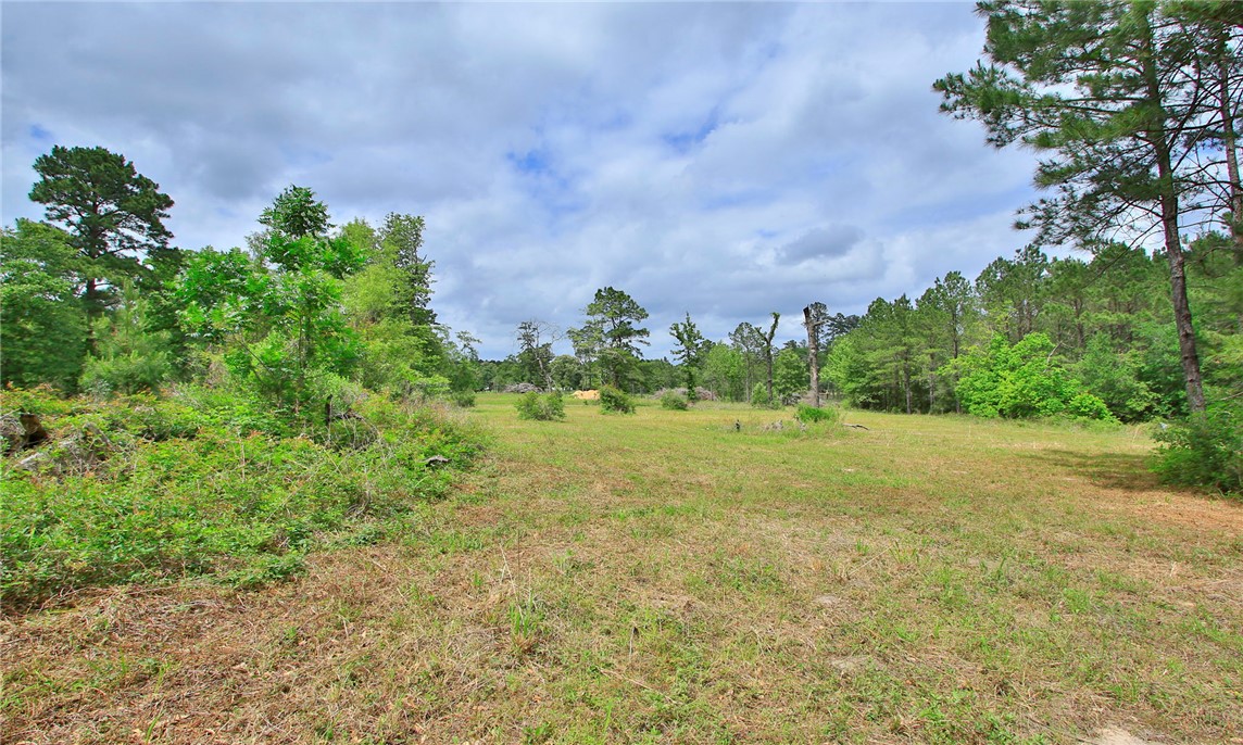 5914 Carter Road Waller, TX 77484 - Photo 24 of 41