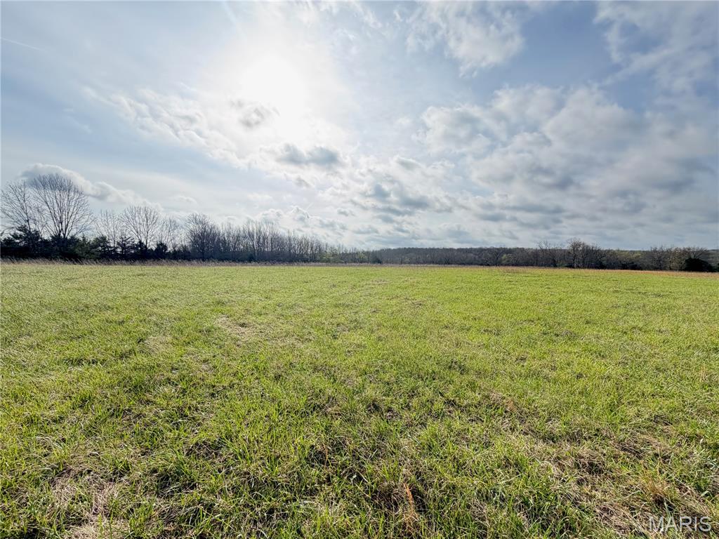 20542 Concord Road Licking, MO 65542 - Photo 45 of 52