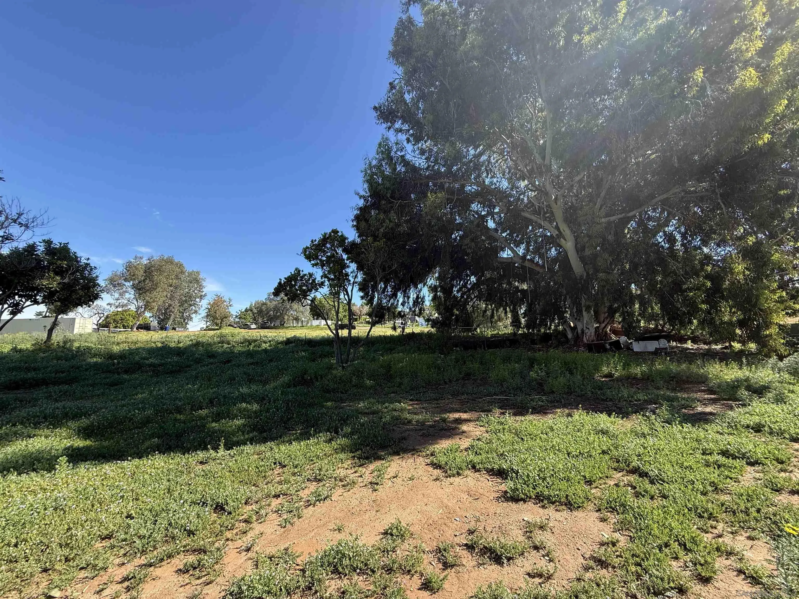 2055 Riviera Drive, Unit 195 Vista, CA 92084 - Photo 2 of 10 a view of a yard