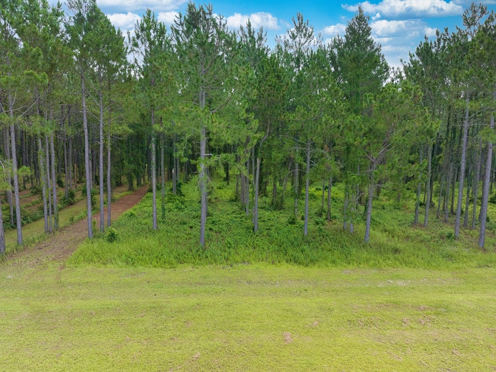 6936 Simpson Road Hahira, GA 31632 - Photo 12 of 34 Gallery Image 12