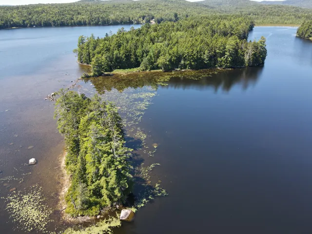 $995,000 | Tbd Depot Road, Lakeville, ME 04487