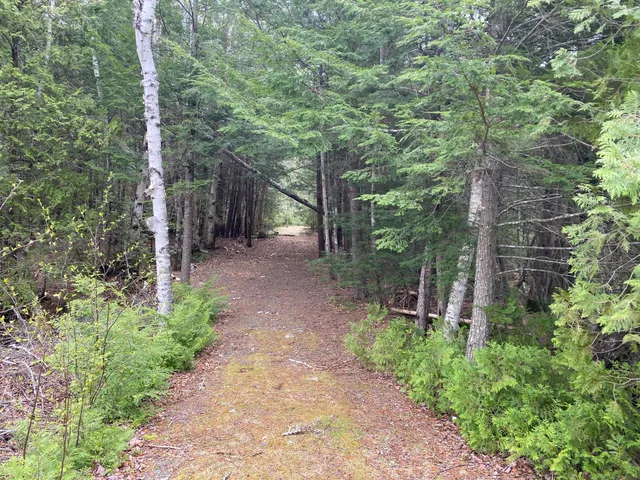 $995,000 | Tbd Depot Road, Lakeville, ME 04487