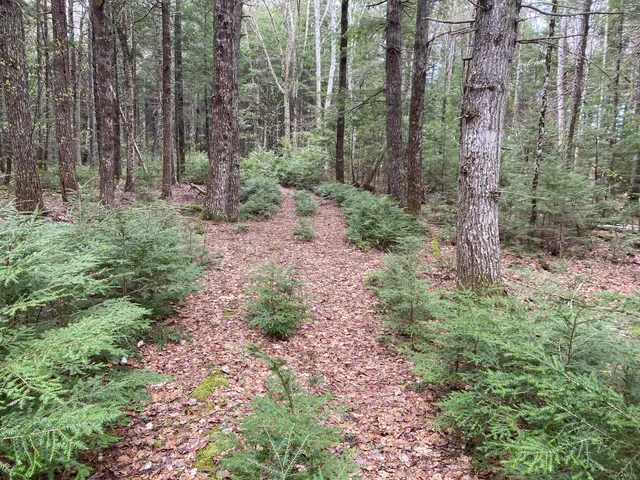$995,000 | Tbd Depot Road, Lakeville, ME 04487