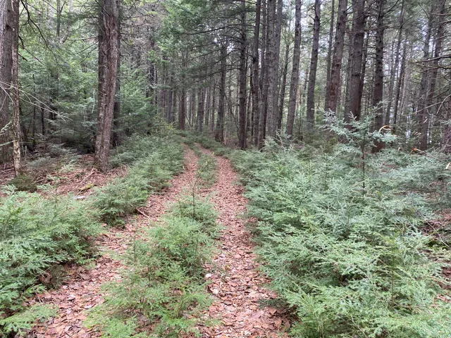 $995,000 | Tbd Depot Road, Lakeville, ME 04487