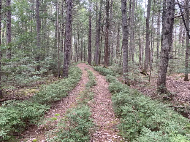 $995,000 | Tbd Depot Road, Lakeville, ME 04487