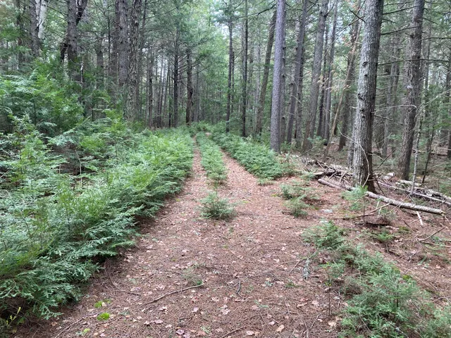 $995,000 | Tbd Depot Road, Lakeville, ME 04487