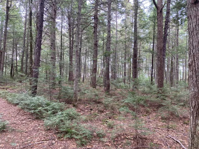 $995,000 | Tbd Depot Road, Lakeville, ME 04487