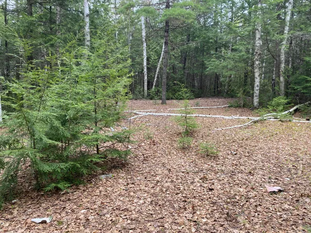 $995,000 | Tbd Depot Road, Lakeville, ME 04487