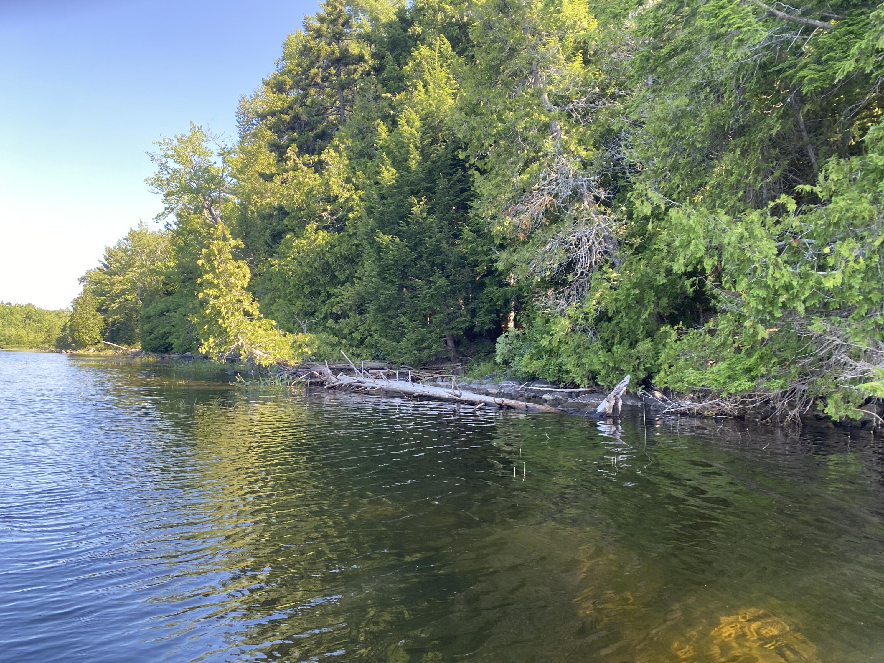 Tbd Depot Road Lakeville, ME 04487 - Photo 39 of 56 IMG_39