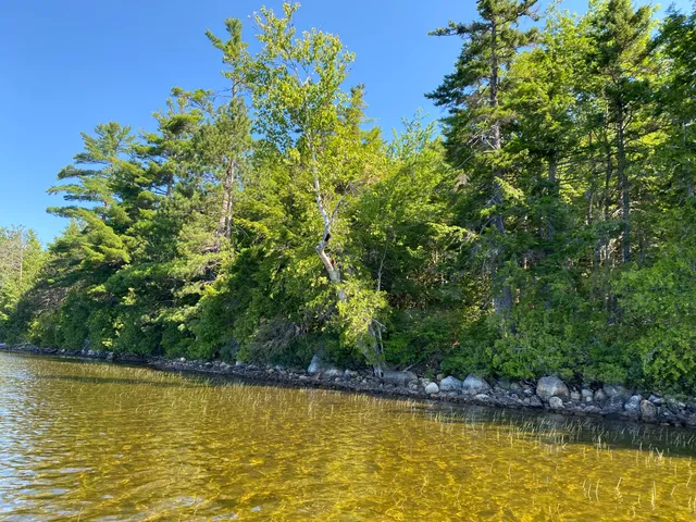 $995,000 | Tbd Depot Road, Lakeville, ME 04487