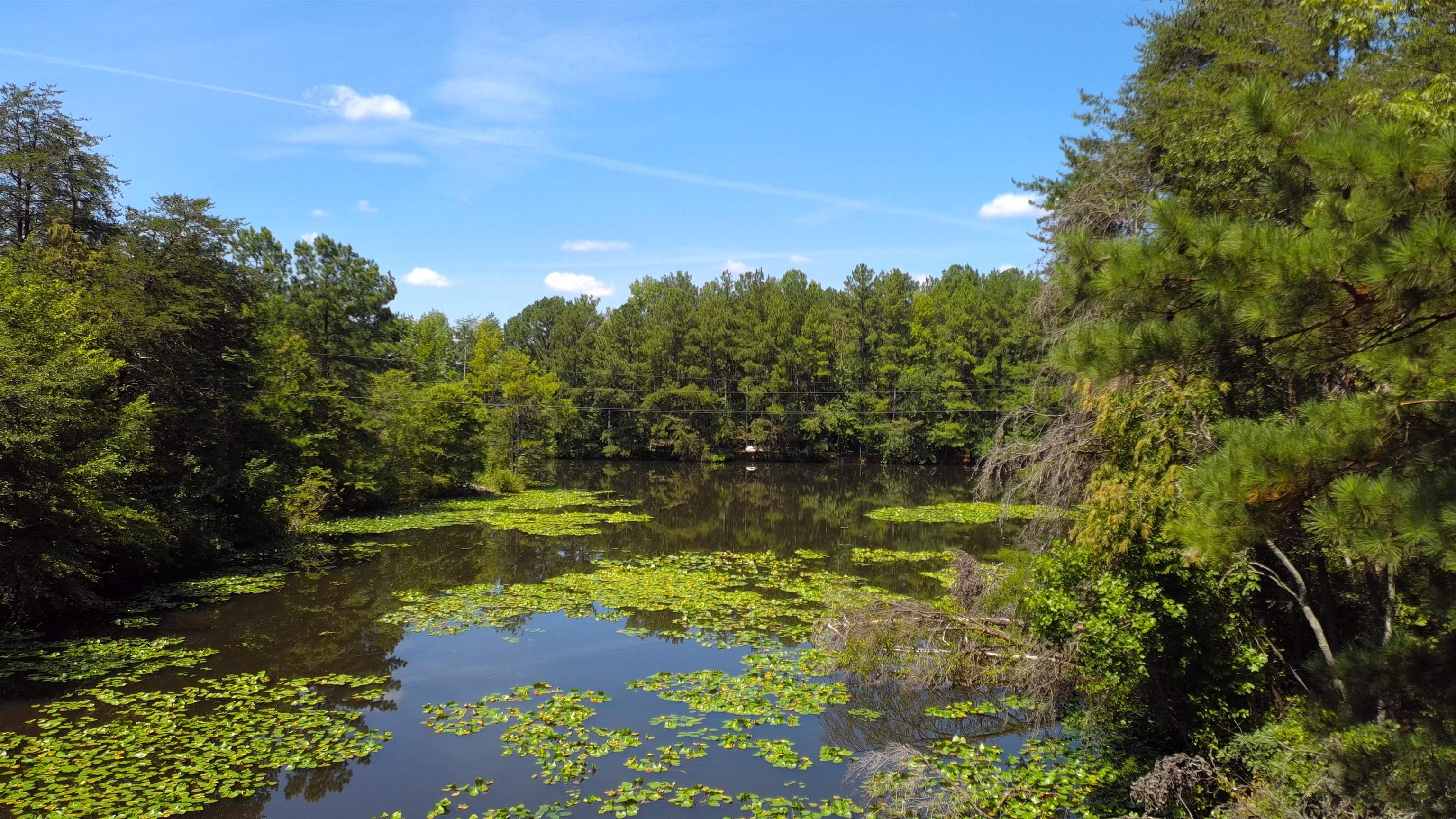 2440 Mt Lebanon Road Campobello, SC 29322 - Photo 40 of 41 Gallery Image 40