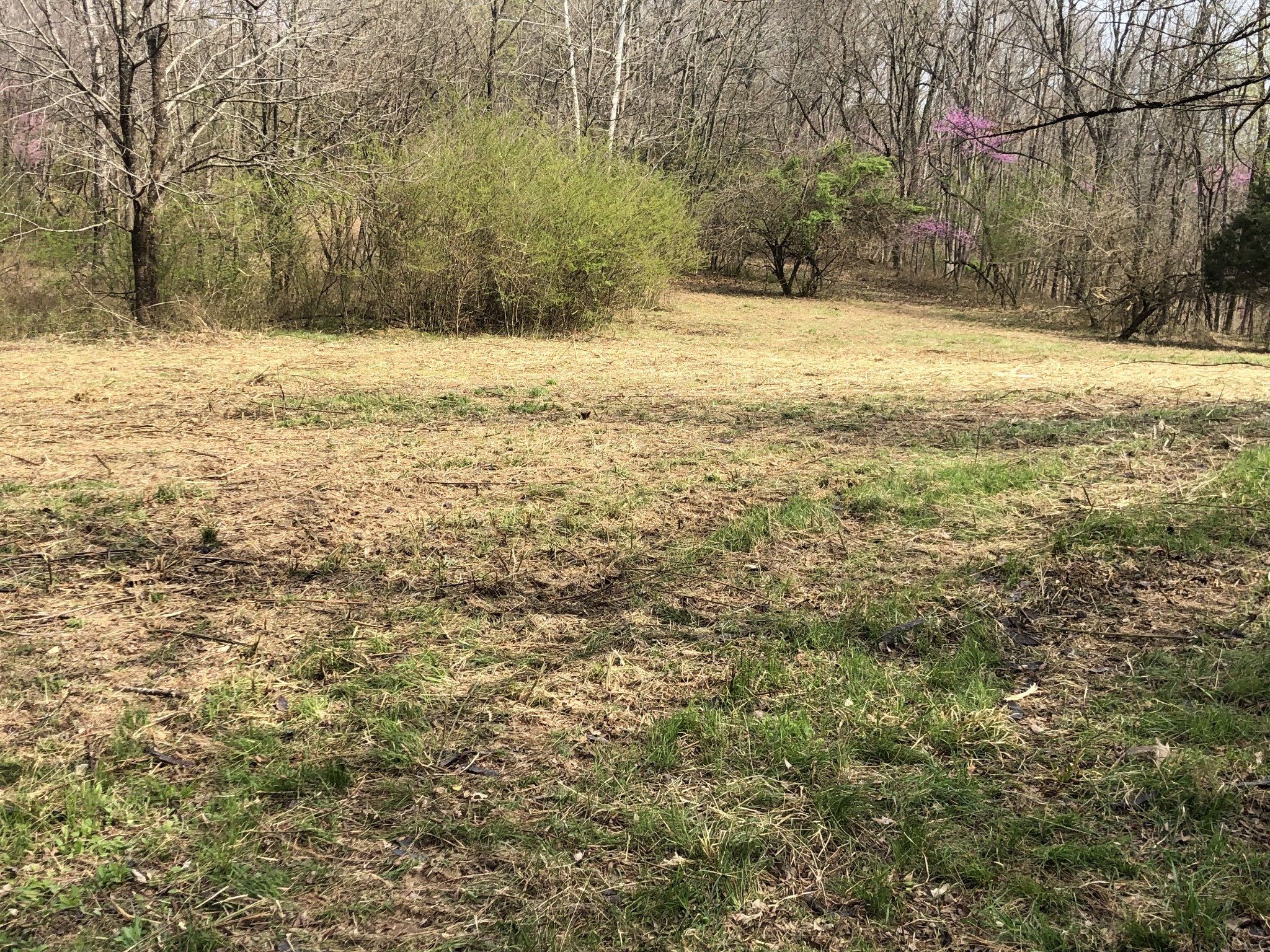 1990 Soules Chapel Road Cunningham, TN 37052 - Photo 3 of 12 Gallery Image 3