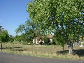 2740 North Reed Road Chino Valley, AZ 86323 - Photo 2 of 8 a view of a town with large trees
