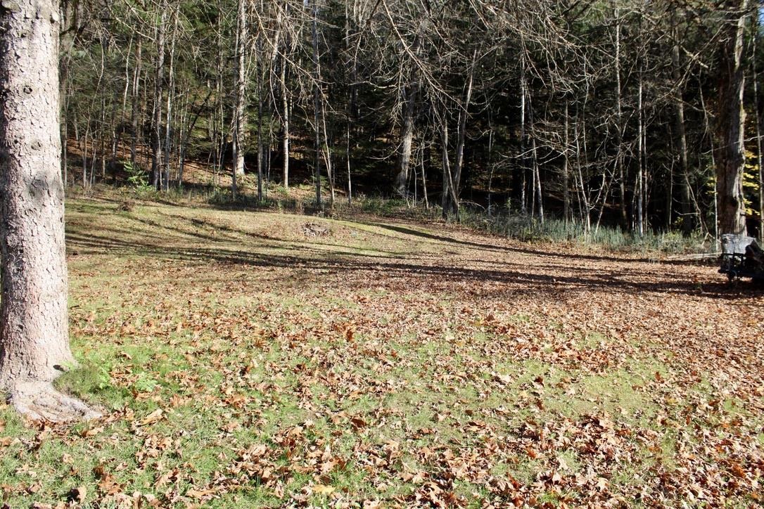 1066 Country Club Road Brandon, VT 05733 - Photo 16 of 19