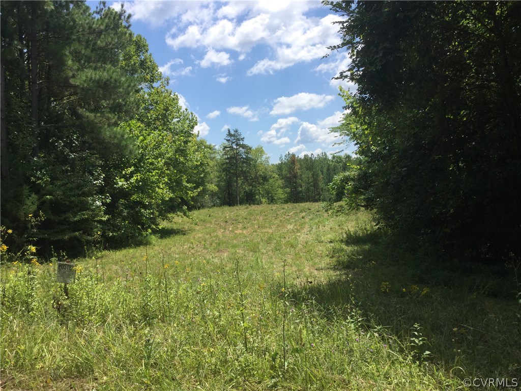7.87-acres Brown Road Cumberland, VA 23040 - Photo 1 of 16 Gallery Image 1
