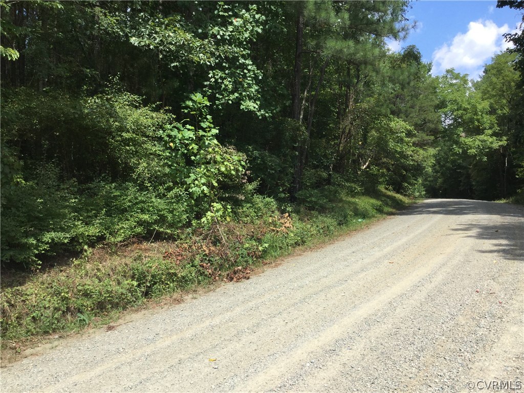 7.87-acres Brown Road Cumberland, VA 23040 - Photo 11 of 16 Gallery Image 11