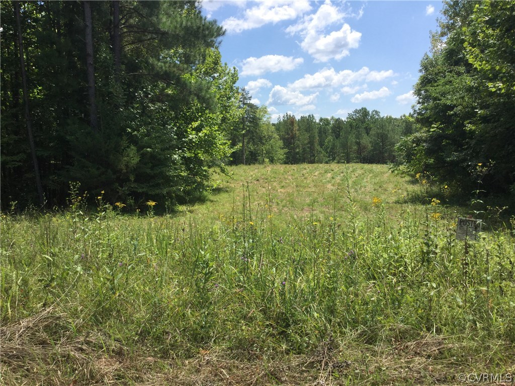 7.87-acres Brown Road Cumberland, VA 23040 - Photo 12 of 16 Gallery Image 12
