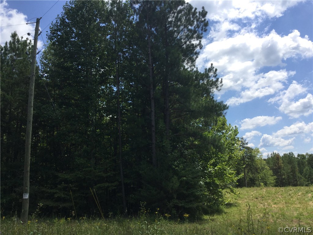 7.87-acres Brown Road Cumberland, VA 23040 - Photo 13 of 16 Gallery Image 13