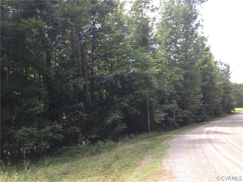 7.87-acres Brown Road Cumberland, VA 23040 - Photo 15 of 16 Gallery Image 15