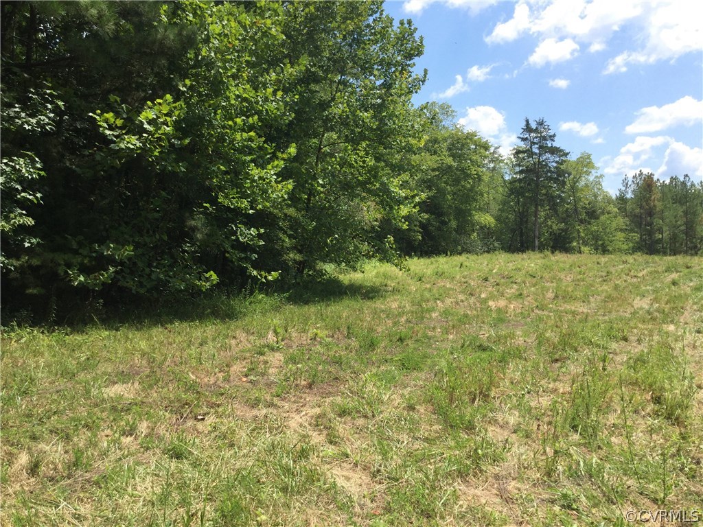 7.87-acres Brown Road Cumberland, VA 23040 - Photo 16 of 16 Gallery Image 16