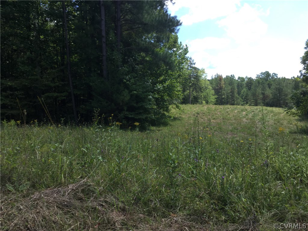 7.87-acres Brown Road Cumberland, VA 23040 - Photo 2 of 16 Gallery Image 2