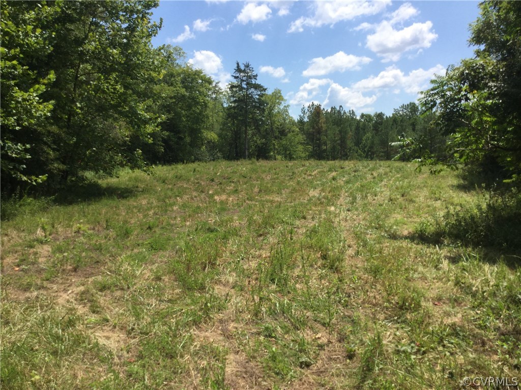 7.87-acres Brown Road Cumberland, VA 23040 - Photo 3 of 16 Gallery Image 3