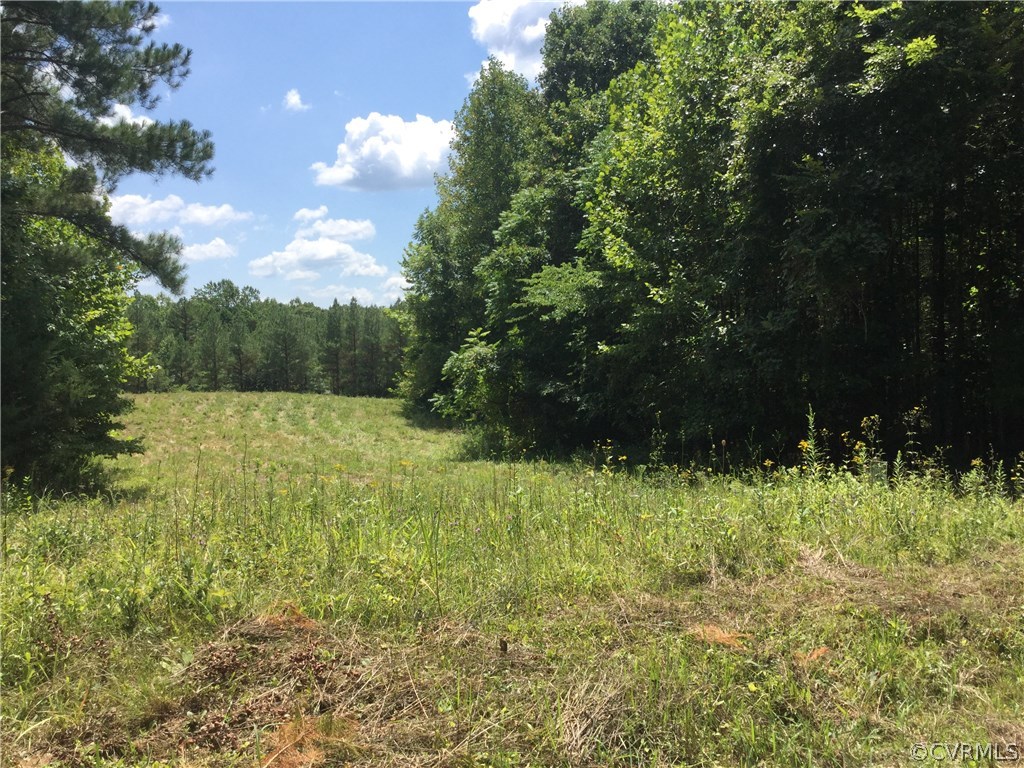 7.87-acres Brown Road Cumberland, VA 23040 - Photo 4 of 16 Gallery Image 4
