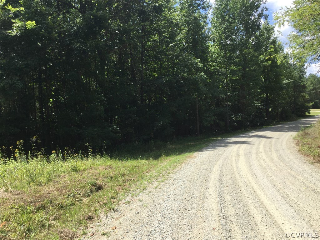 7.87-acres Brown Road Cumberland, VA 23040 - Photo 6 of 16 Gallery Image 6