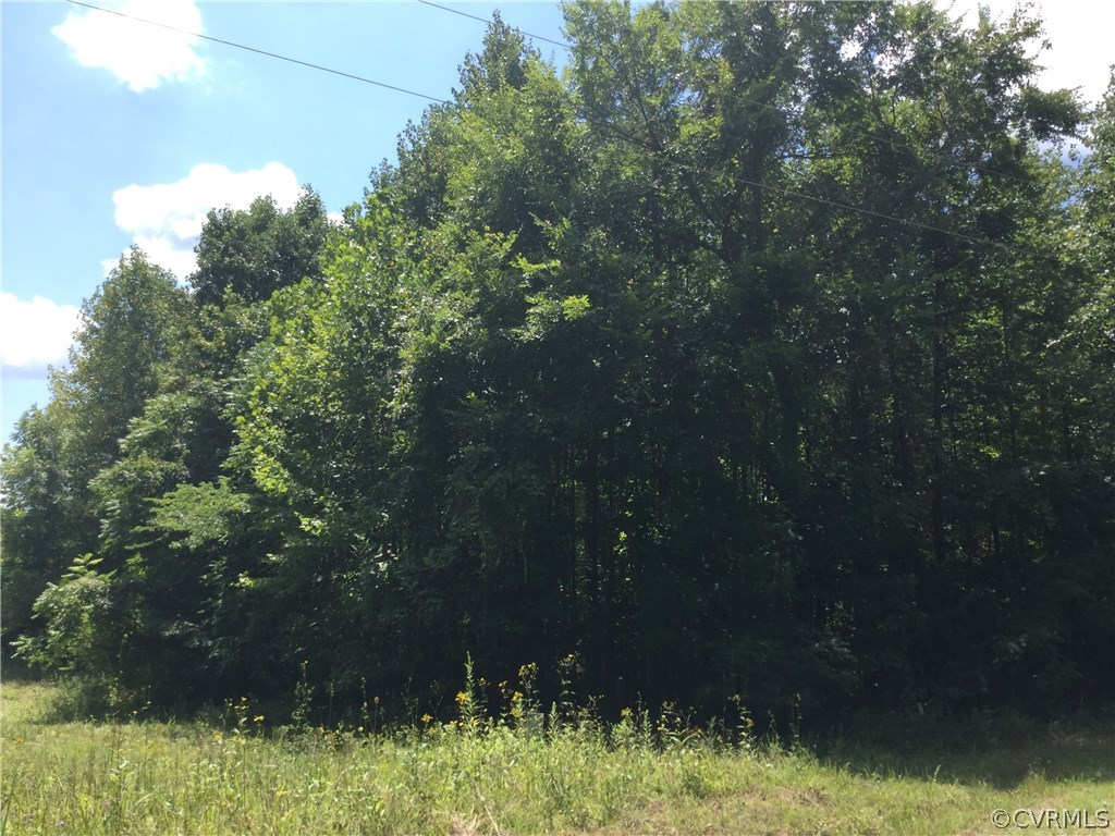 7.87-acres Brown Road Cumberland, VA 23040 - Photo 7 of 16 Gallery Image 7