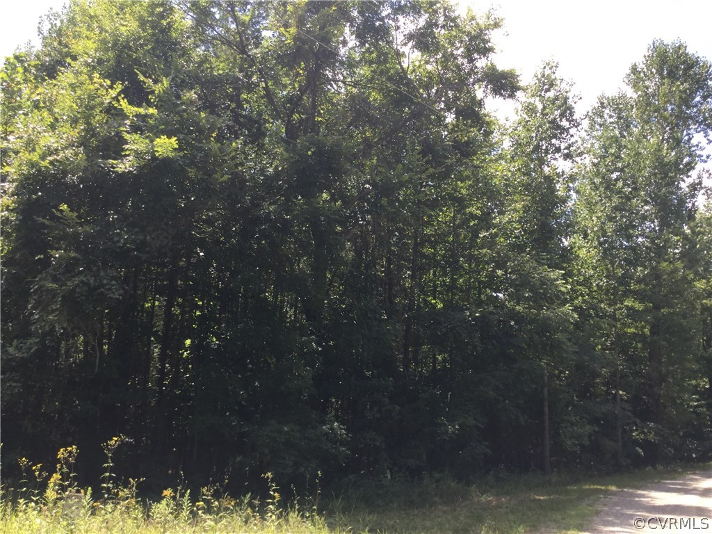 7.87-acres Brown Road Cumberland, VA 23040 - Photo 8 of 16 Gallery Image 8