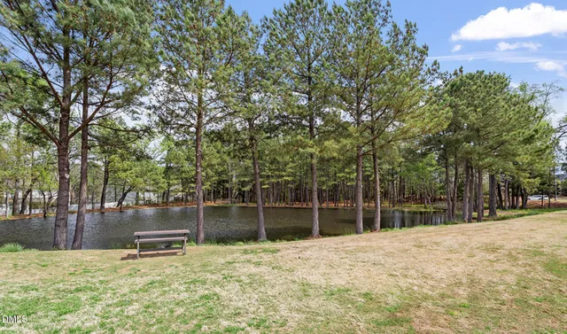 a backyard of a house with lots of green space and fountain
