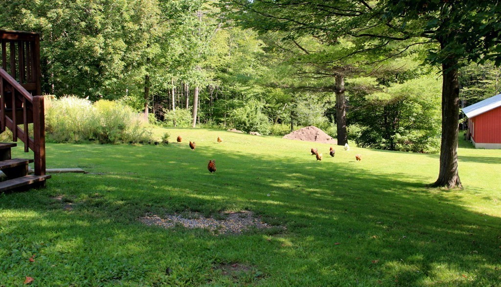 171 Wendell Road Montague, MA 01349 - Photo 18 of 30 Gallery Image 18