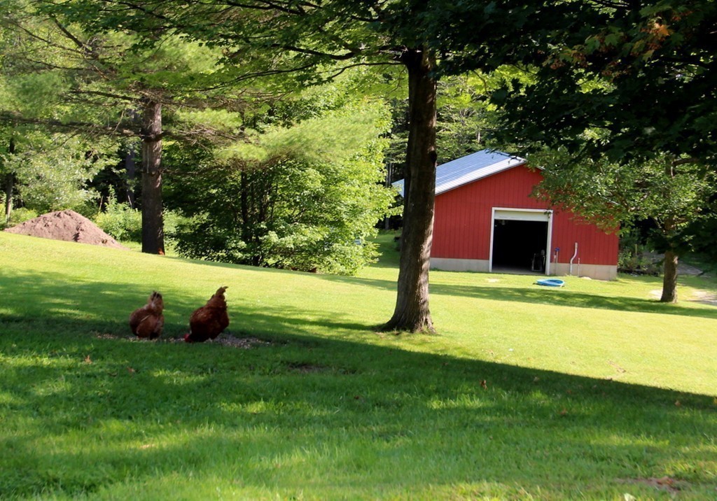 171 Wendell Road Montague, MA 01349 - Photo 19 of 30 Gallery Image 19
