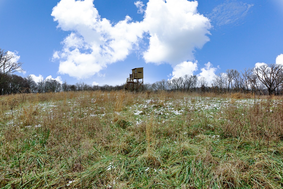 29799 Bates Hollow Road Ardmore, AL 35739 - Photo 12 of 25 Gallery Image 12