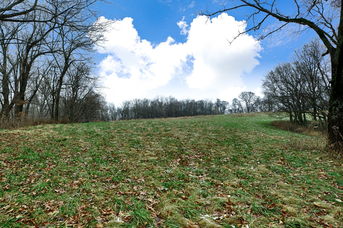 29799 Bates Hollow Road Ardmore, AL 35739 - Photo 13 of 25 Gallery Image 13