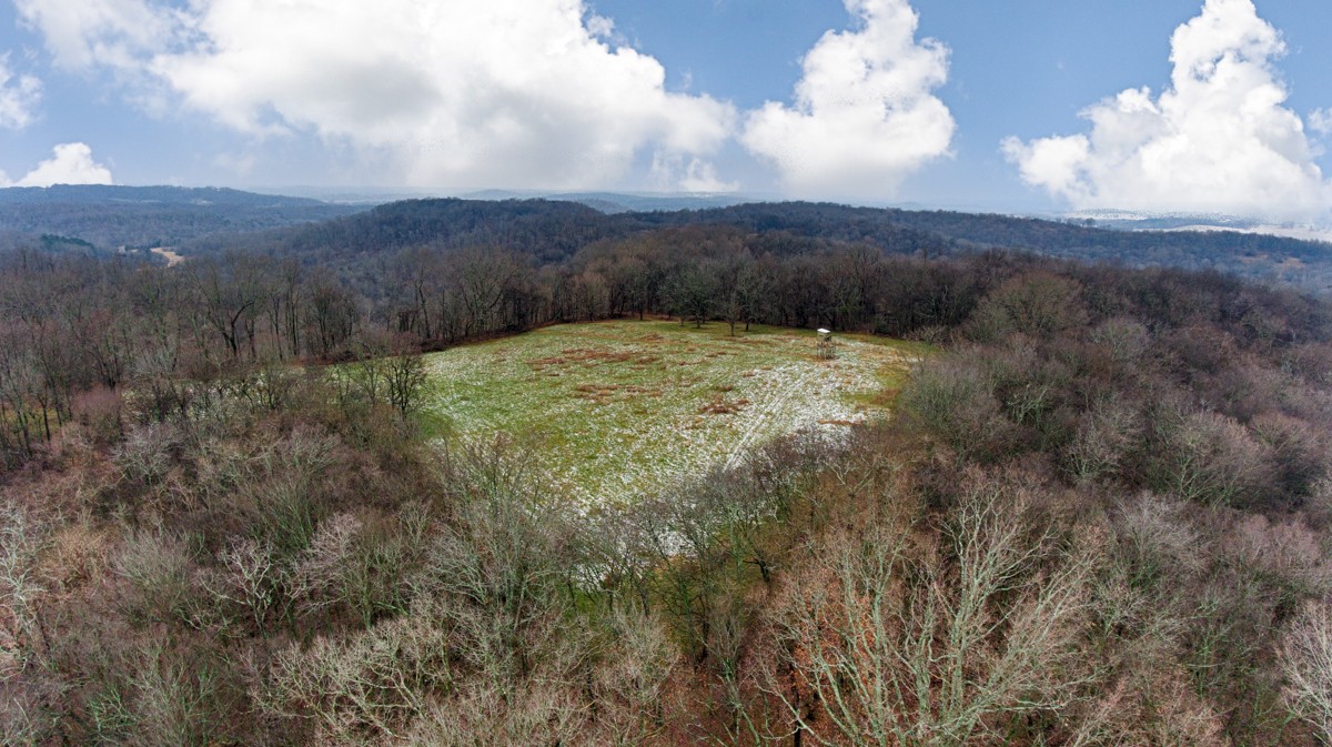 29799 Bates Hollow Road Ardmore, AL 35739 - Photo 4 of 25 Gallery Image 4