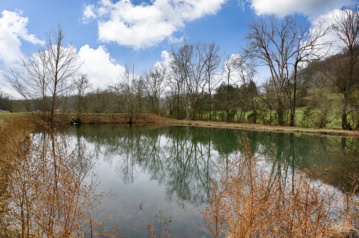 29799 Bates Hollow Road Ardmore, AL 35739 - Photo 7 of 25 Gallery Image 7