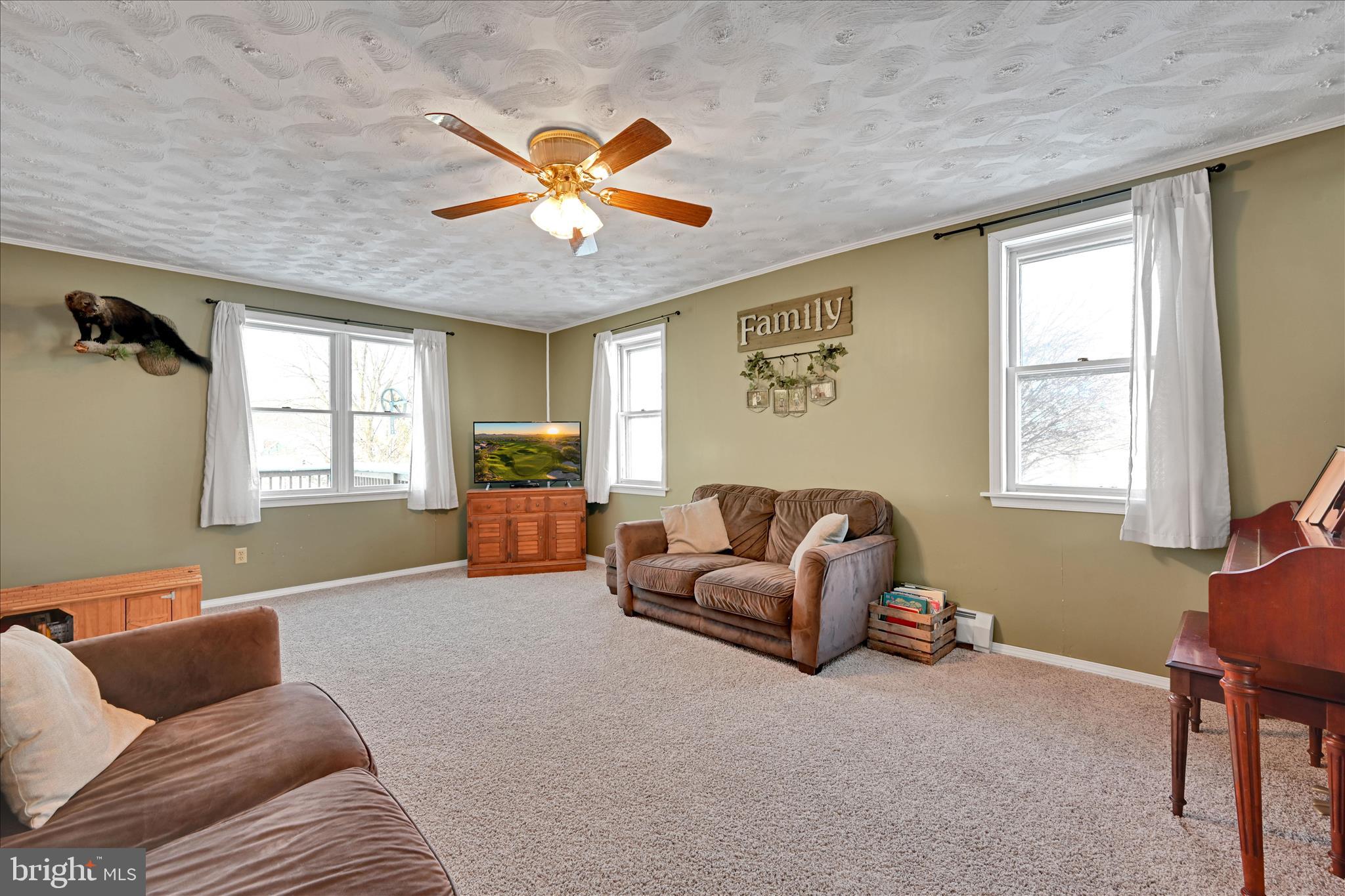 204 Reistville Road Myerstown, PA 17067 - Photo 18 of 55 a living room with furniture and a window