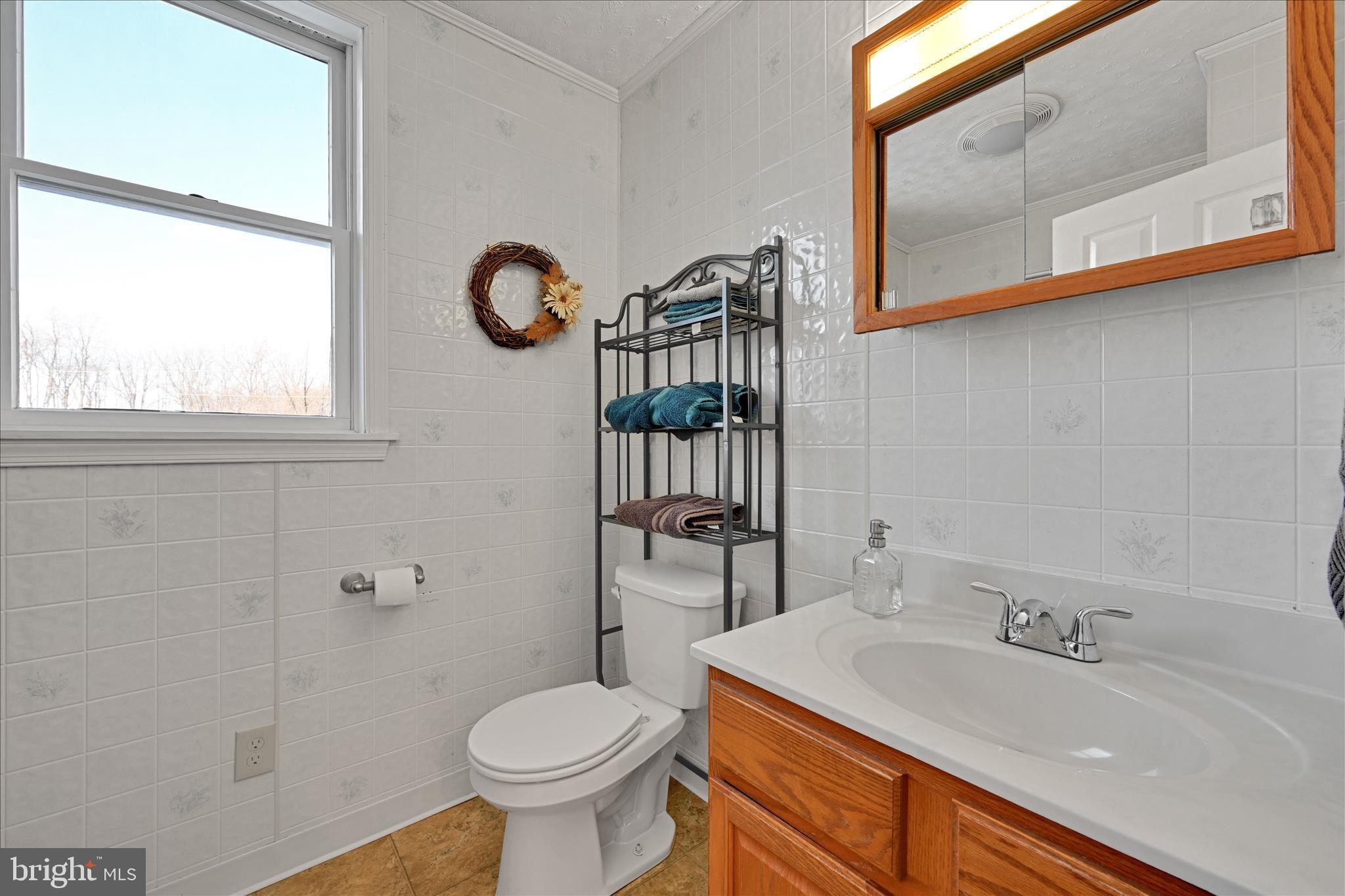 204 Reistville Road Myerstown, PA 17067 - Photo 27 of 55 a bathroom with a sink a toilet and a mirror