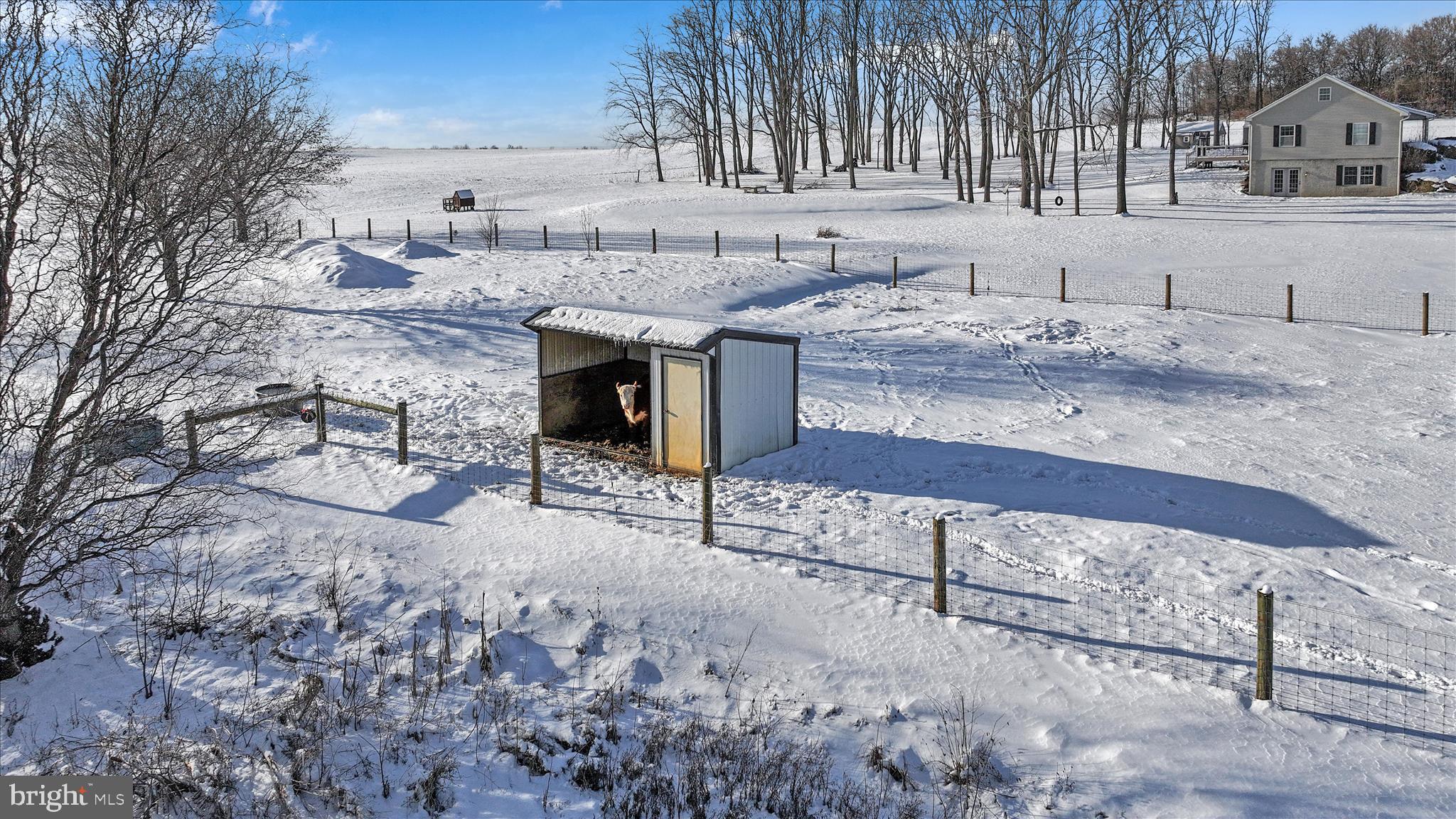 204 Reistville Road Myerstown, PA 17067 - Photo 44 of 55 a view of a backyard with table and chairs