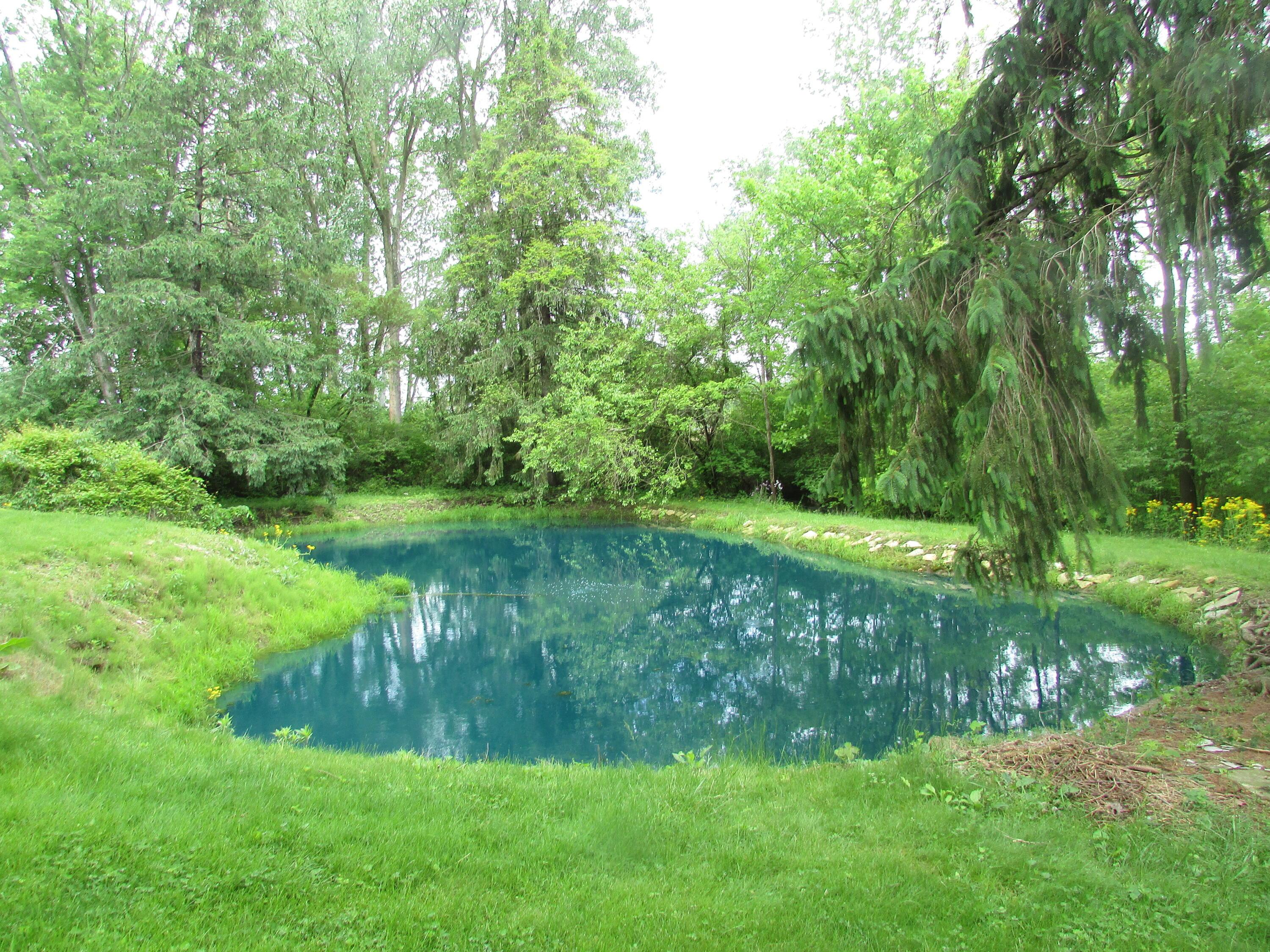 1000 Lewis Center Road Lewis Center, OH 43035 - Photo 16 of 19 Lewis Center Pond