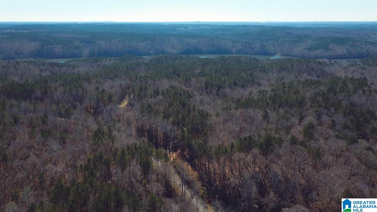 0 Sleepy Hollow Road, Unit 75 Rockford, AL 35136 - Photo 30 of 33