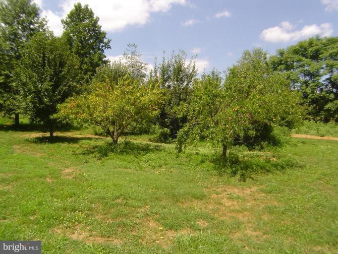 5808 Cabbage Spring Road Mount Airy, MD 21771 - Photo 2 of 12 Pear, peach and apple trees!