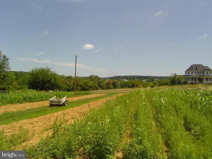 5808 Cabbage Spring Road Mount Airy, MD 21771 - Photo 12 of 12 Garden space and view beyond!